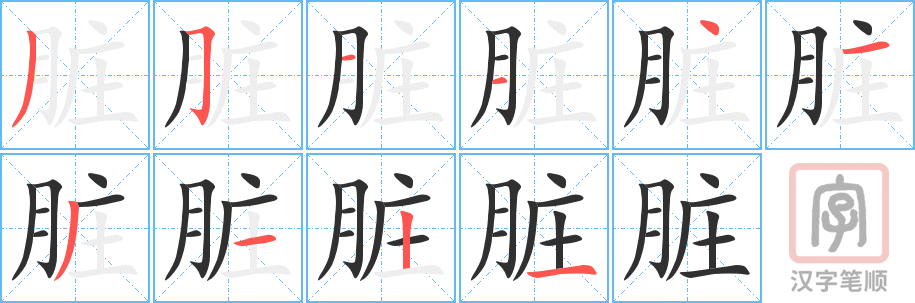 《脏》的笔顺分步演示（一笔一画写字）