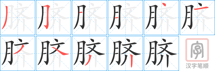 《脐》的笔顺分步演示（一笔一画写字）