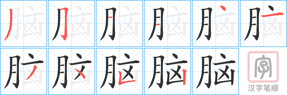 《脑》的笔顺分步演示（一笔一画写字）