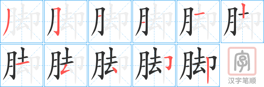 《脚》的笔顺分步演示（一笔一画写字）