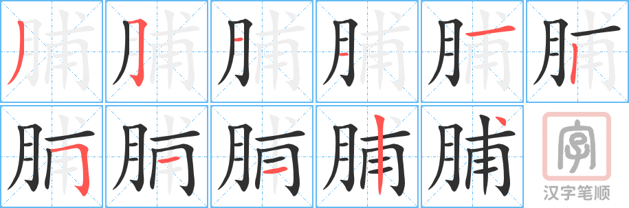 《脯》的笔顺分步演示（一笔一画写字）