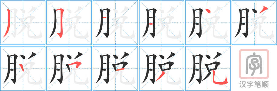 《脱》的笔顺分步演示（一笔一画写字）