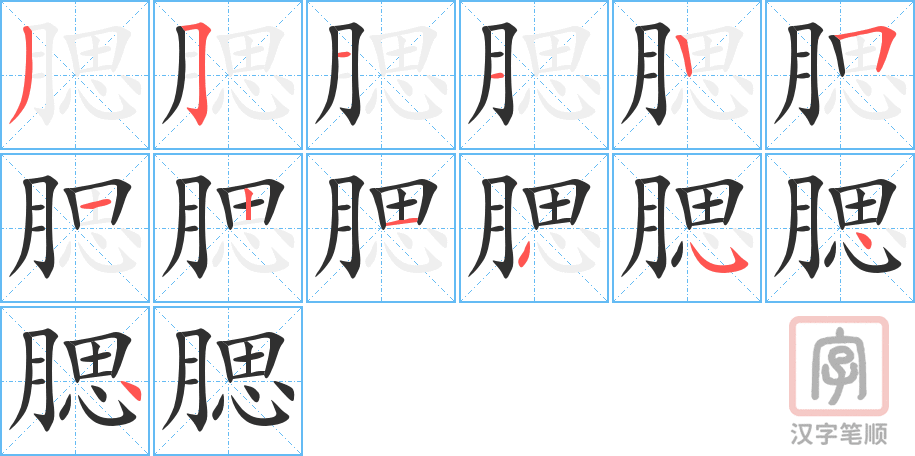 《腮》的笔顺分步演示（一笔一画写字）