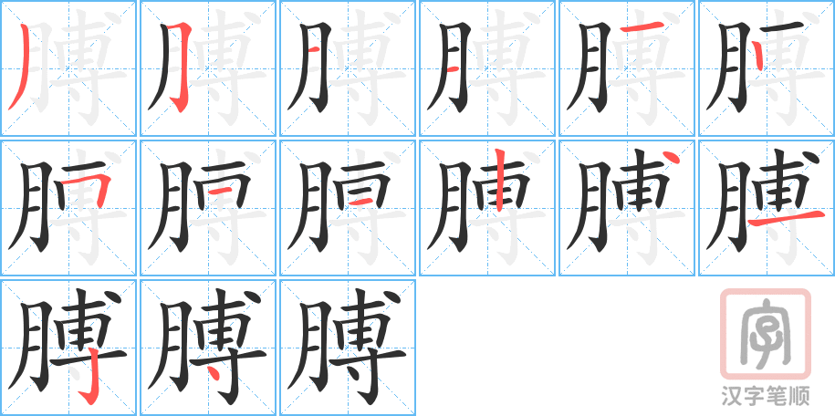 《膊》的笔顺分步演示（一笔一画写字）
