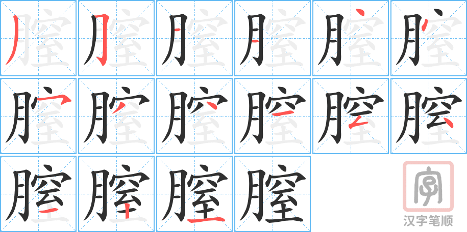 《膣》的笔顺分步演示（一笔一画写字）