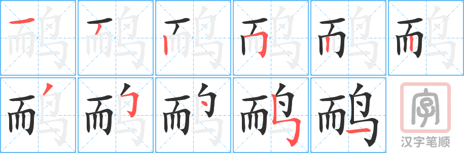 《鸸》的笔顺分步演示（一笔一画写字）
