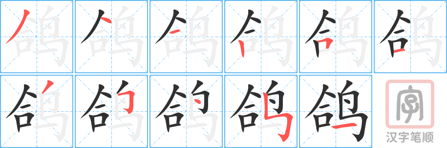 《鸽》的笔顺分步演示（一笔一画写字）
