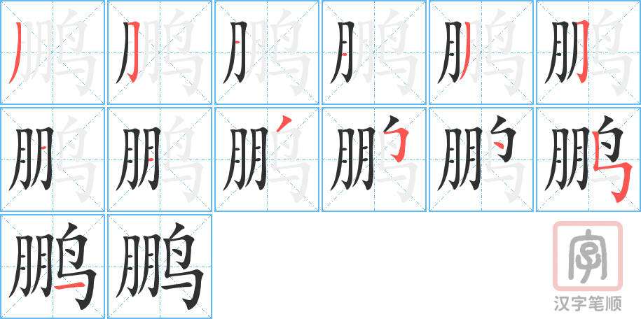 《鹏》的笔顺分步演示（一笔一画写字）